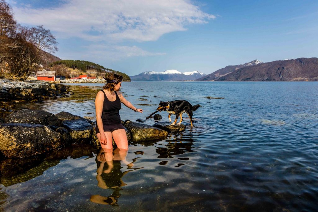 TrustedHousesitters. Kell teaching Tess, the dog, how to swim in the sea between the Norwegian frjods