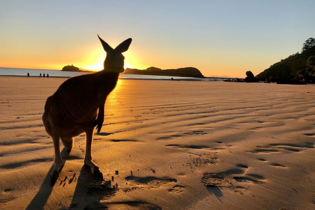 Cape Hillsborough