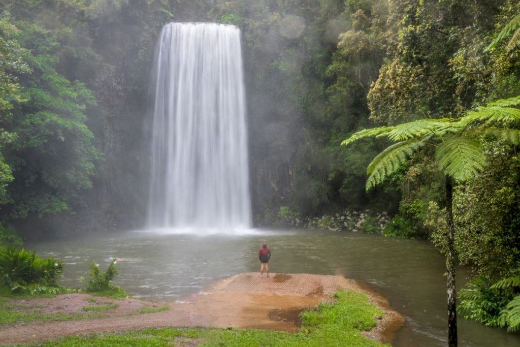 Millaa Millaa waterfalls