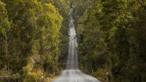 Header Tasmania Self Drive (1)
