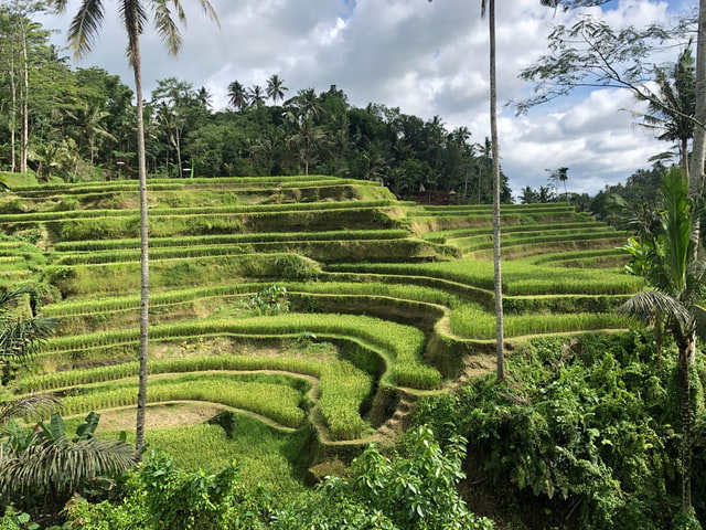 Where to stay in Bali - A first timer's guide | AATW