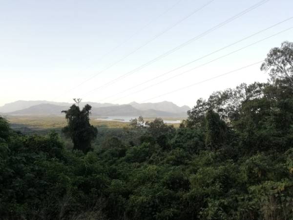 Hinchinbrook Island - Australia
