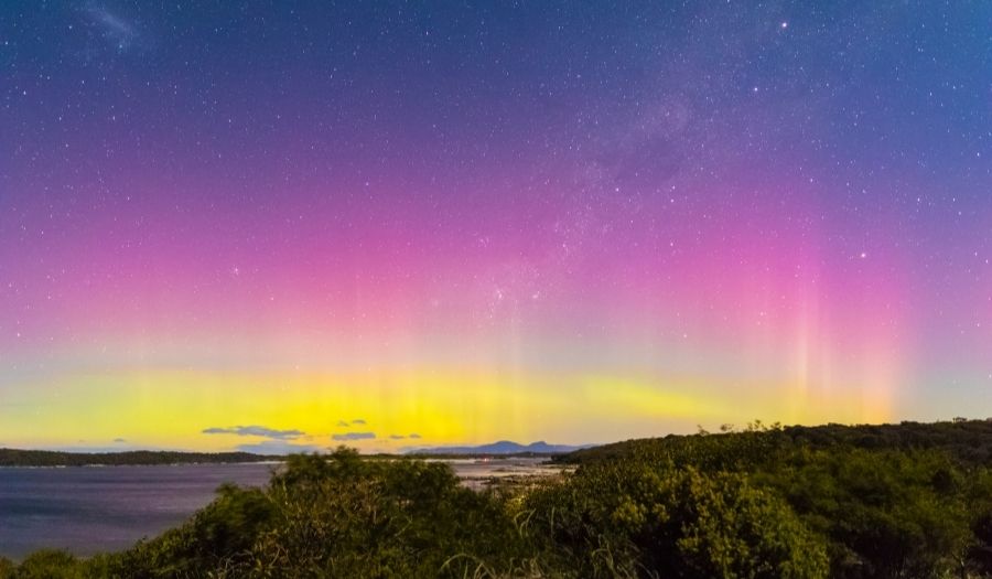 SelfDrive Tasmania The Best Trip Planner for an Ultimate Road Trip