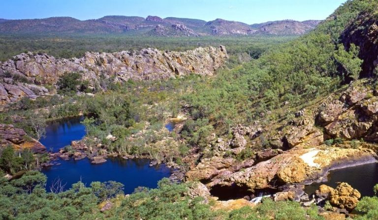 Rainforest in Australia - 7 Rainforests You Must Visit | AATW