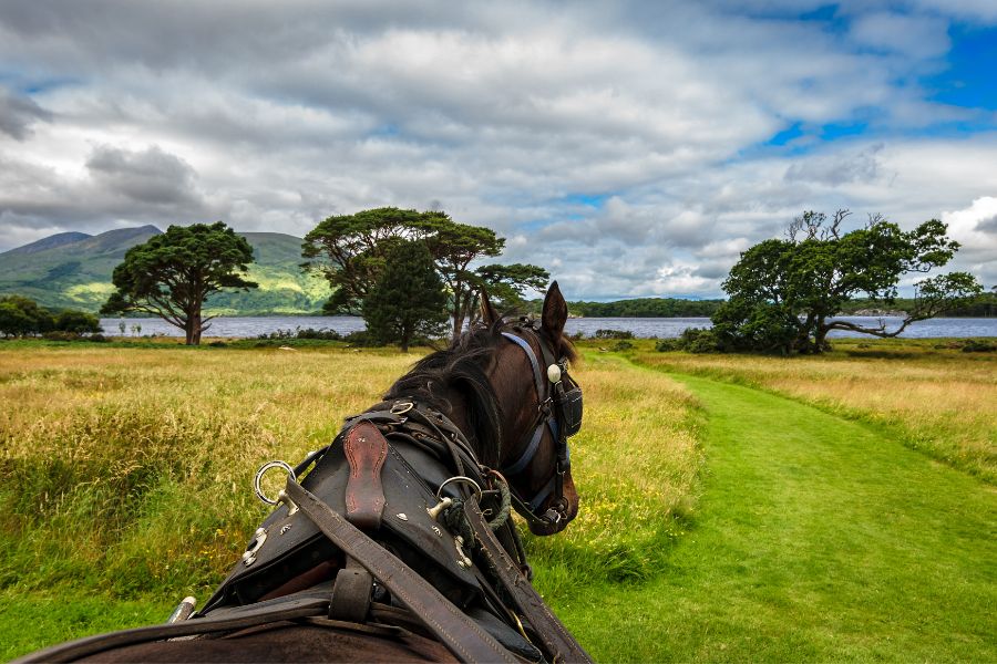 Horse riding Killarney National park Ireland