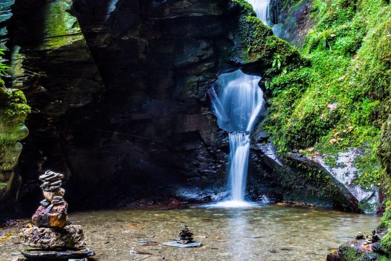 Rainforest in Australia - 7 Rainforests You Must Visit | AATW